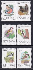 Poland 1993 Sc 3165-70 Birds Stamp MNH