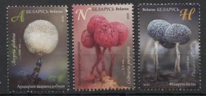 2020 Belarus 1335-1337 Mushrooms 5,80 €