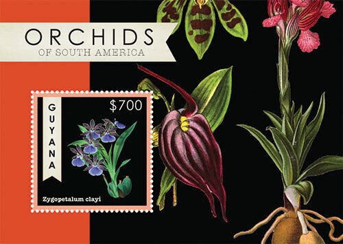 Guyana - 2012 - Orchids Of South America - Souvenir Sheet - MNH