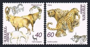 Armenia 530-531,MNH.Michel 286-287. Endangered fauna 1996.Carpa,Panthera pardus.