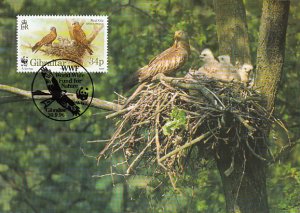 Gibraltar 1996 Maxicard Sc #716d 34p Red kite nesting WWF