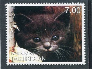 Tajikistan 2000 DOMESTIC CAT 1 value Perforated Mint (NH)