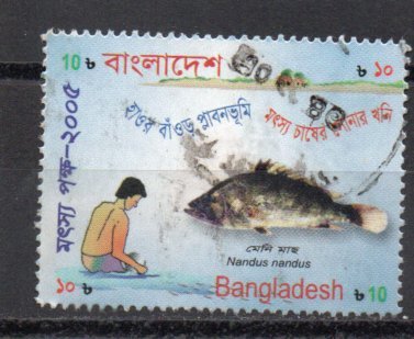 Bangladesh 705 used