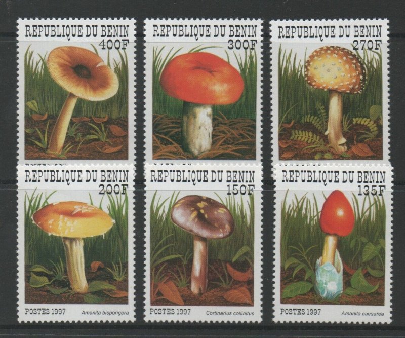 Thematic Stamps Plants - BENIN 1997 FUNGI 6v 1543/8 mint