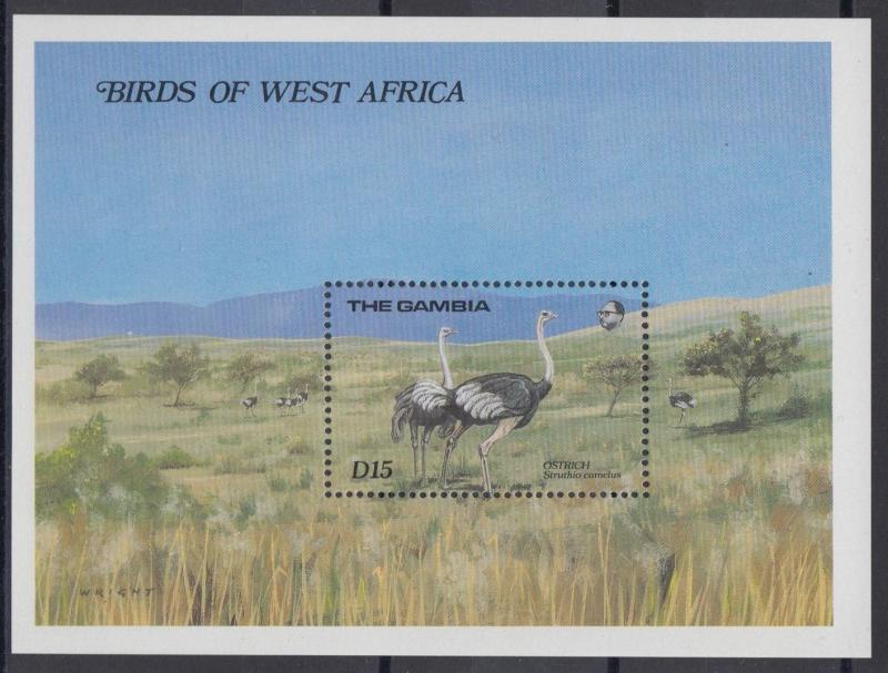 XG-AE090 GAMBIA IND - Birds, 1989 Of West Africa, Nature MNH Sheet