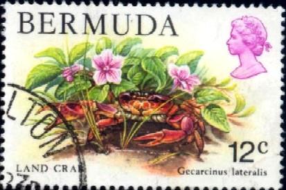 Marine Life, Land Crab, Bermuda stamp SC#369 used