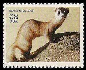 US 3105a Endangered Species Black-footed Ferret 32c single MNH 1996