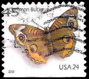 # 4001a USED COMMON BUCKEYE BUTTERFLY