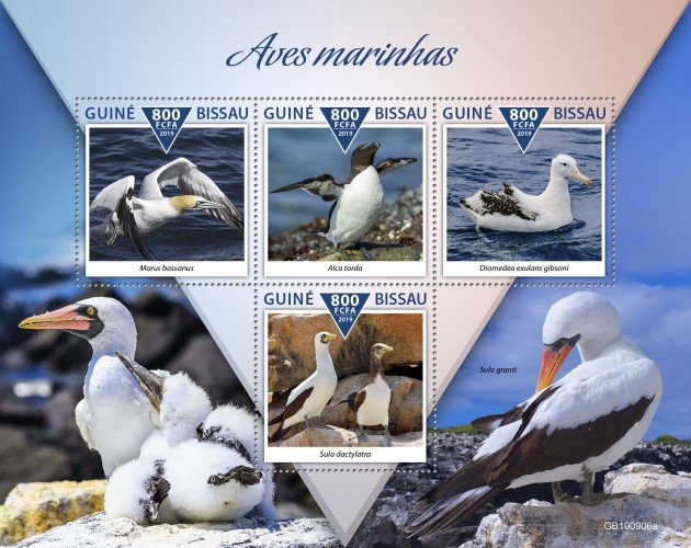 GUINEA BISSAU - 2019 - Sea Birds - Perf 4v Sheet - M N H