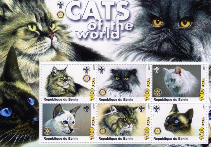 BENIN 2003 Domestic Cats Sheet Perforated mnh.vf