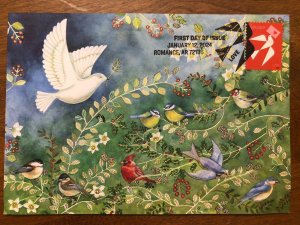 2024 LOVE STAMP FDC  Postcard CACHET Birds Of All Kinds Maxicard 5x7 Maximum