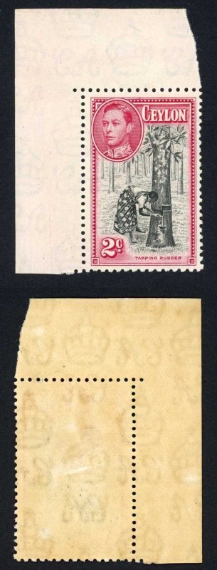 Ceylon SG386 2c Perf 11.5 x 13 M/M (toned) Cat 26 pounds