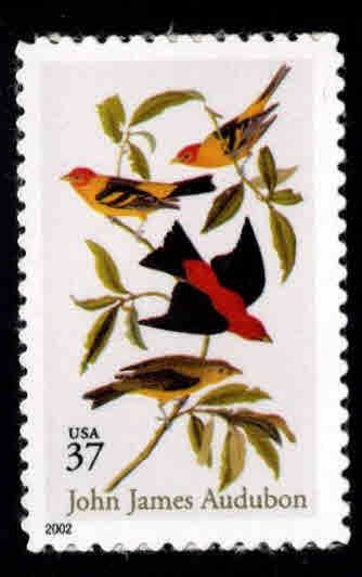 USA Scott 3650 Audubon Birds self adhesive stamp MNH**