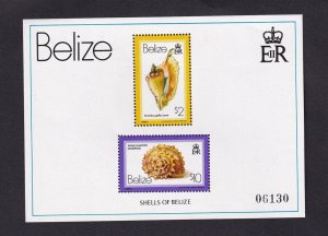 Belize   #489  MNH  1980  shells sheet  $2 and $10