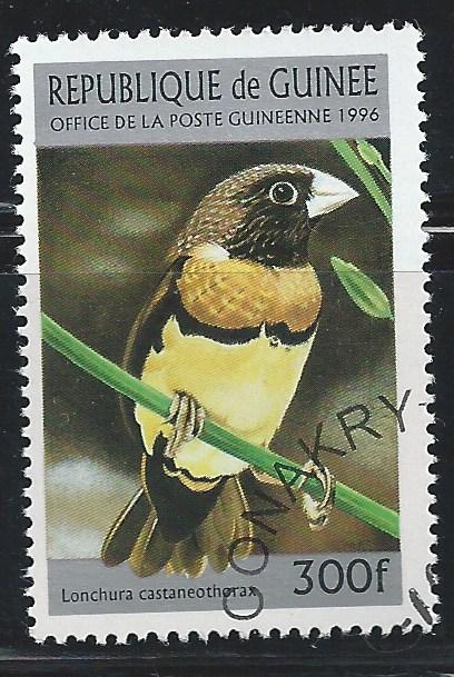 Guinea 1370 300fr Mannikin bird cto