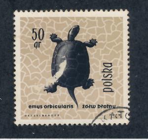 Poland 1963 Scott 1136 CTO - 50g,  European pond turtle