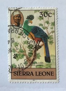 Sierra Leone 1981 Scott 471 used - 30c, Bird , Blue plantain eater