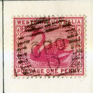 WESTERN AUSTRALIA 62 (PERF 14 WMK 2) USED SCV $2.00 BIN $0.80 BIRDS