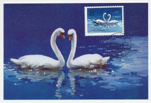 Maximum card China 1983 Bird - Swan - Lovers