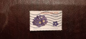 US Scott # 4987; used (49c) Forget-me-not from 2015; VF centering, off paper