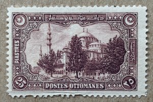 Turkey 1920 25pia Mosque of Suleiman See note. Scott 597, CV $4.00.  Isfila 940