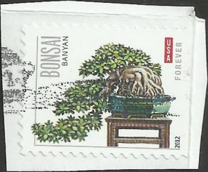 # 4620 USED BANYAN