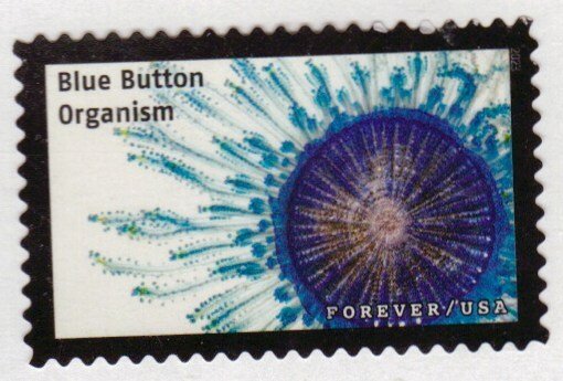 New 2023 - 66c - Life Magnified, Blue Button Organism -16 of 20 - Used Off Paper