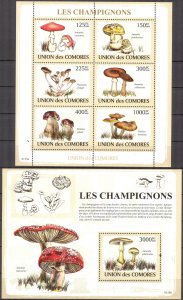 Comoro Islands 2009 Mushrooms Sheet + S/S MNH