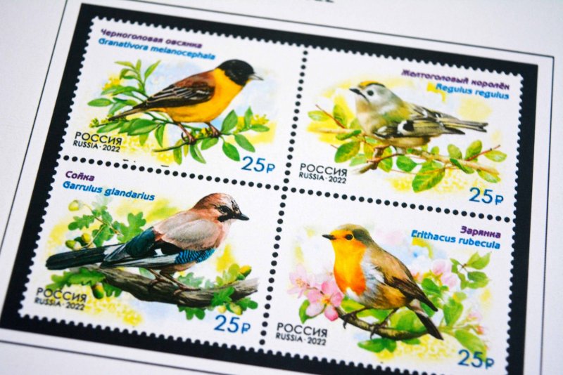 COLOR PRINTED RUSSIA 2021-2023 STAMP ALBUM PAGES (73 illustrated pages)