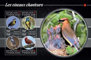 TOGO 2015 SHEET SONGBIRDS BIRDS tg15220a