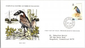 Worldwide First Day Cover, Belize, Birds