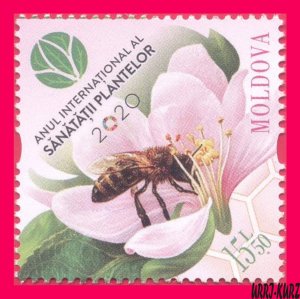 MOLDOVA 2020 International Year Plant Health Flora Fauna Insect Bee on Flower 1v
