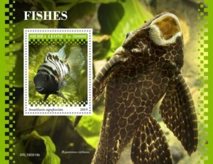 Sierra Leone - 2019 Fishes on Stamps - Stamp Souvenir Sheet - SRL190914b