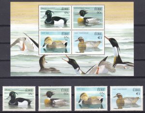 Ireland, Fauna, Birds, Native Ducks MNH / 2004
