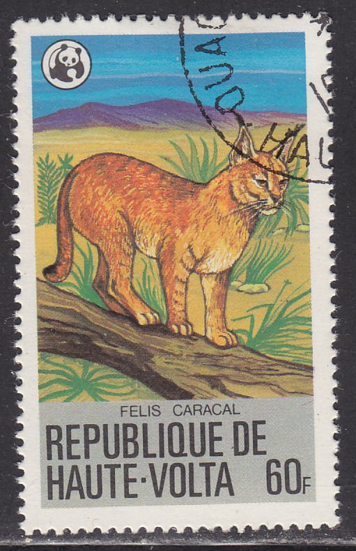 Burkina Faso 508 Caracal 1979