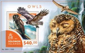 SOLOMON ISLANDS 2015 SHEET OWLS BIRDS slm15405b