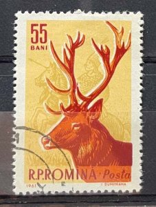 (3568) ROMANIA 1961 : Sc# 1429 RED DEER 16TH CENT. HUNTER - VFU