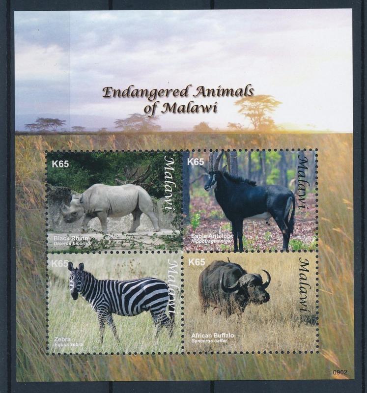 [38769] Malawi 2009 Wild Animals Rhino Zebra Antelope Buffalo MNH Sheet