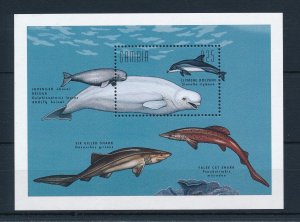 [32208] Gambia 1996 Marine life sharks dolphin whale Souvenir Sheet MNH