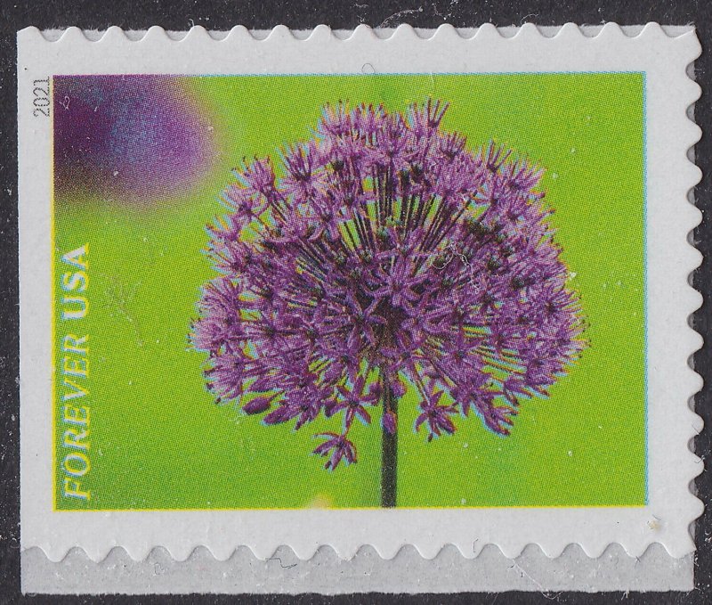 US 5558-5567 Garden Beauty forever set (10 stamps) MNH 2021