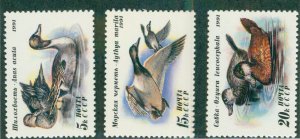 Russia #6009-11 NH SET BIN $1.00