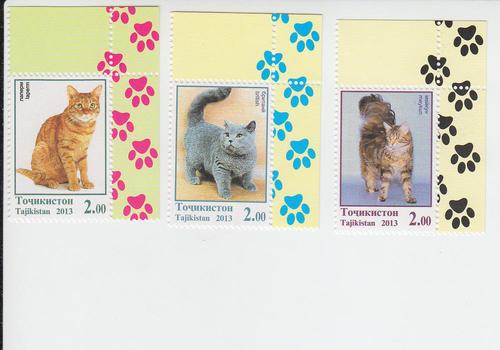 2013 Tajikistan Cats (3) (Scott 394-96) MNH