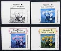 Equatorial Guinea 1977 Flowers EK15 (Narcissus) set of 4 ...