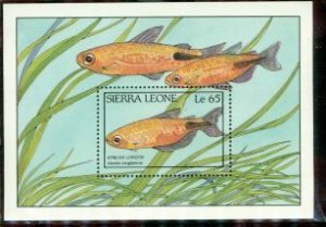 Sierra Leone Fishes , 1 souvenir sheet
