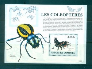 Comoros - Sc# 1078. 2009 Beetles, Insects. MNH $15.50.