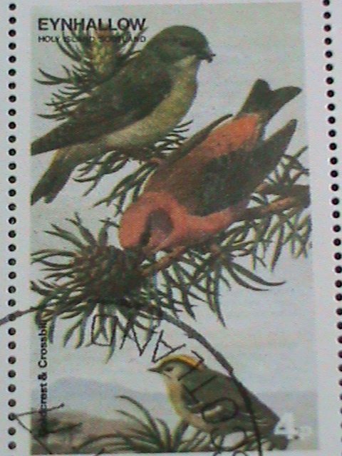 ​EYNHALLOW-SCOTLAND STAMP 1974 COLORFUL LOVELY WORLD BEAUTIFUL BIRDS-CTO-SHEET