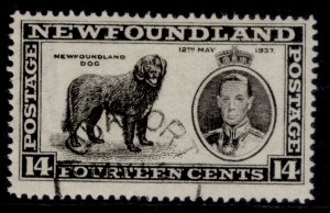 CANADA - Newfoundland GVI SG262, 14c black, FINE USED.