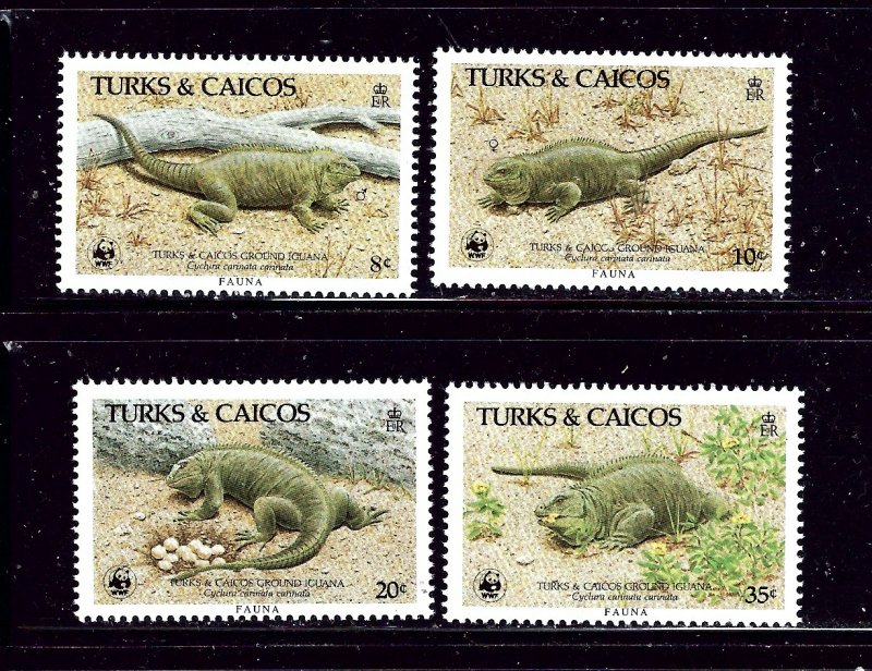 Turks and Caicos 710-13 MNH 1986 Iguanas