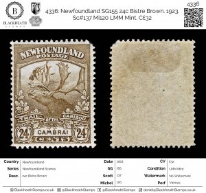 4336: Newfoundland SG155 24c Bistre Brown. 1923. Sc#137 Mi120 LMM Mint. C£32