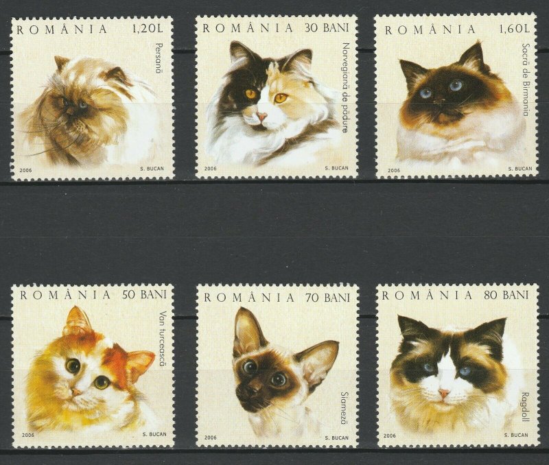 Romania 2006 Animals, Pets, Cats, 6 MNH stamps